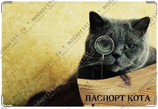Кот