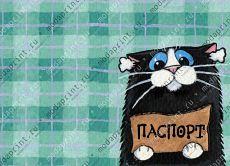 Котик