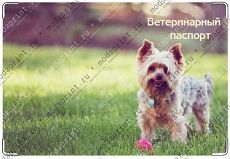 йоркширский терьер