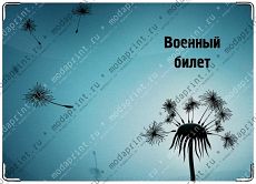 Одуванчик
