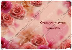 Паспорт гламурной любимицы.
