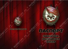 В СССР
