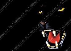 Panther