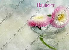 цветы в воде