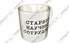 Старший научный сотрудник