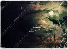 Afro samurai