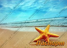 Морская звезда