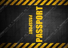 Passport