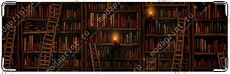 Книжная полка