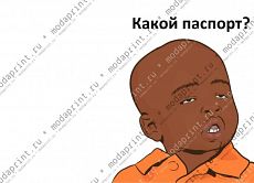 Какой паспот?