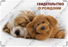 Щенок