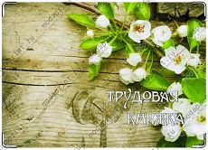 на досках