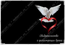 Голубь