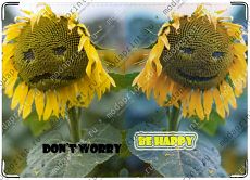 Don't worry be happy