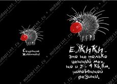 Ежики