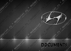 Hyundai auto