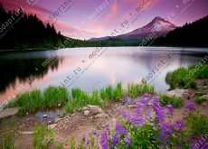 Природа