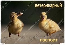 утята