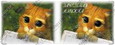 КОТЭ из шрека