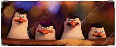 Penguins