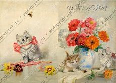 Kittens