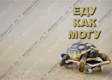 Еду как могу!