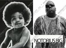 NOTORIUS BIG