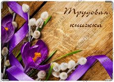 Крокусы.