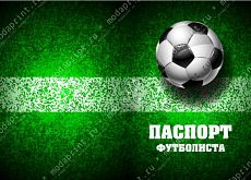 Паспорт футболиста