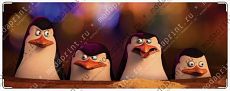 Penguins зачетка