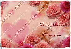 Розы