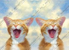 рыжий котенок