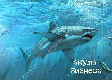 паспорт