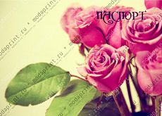Розовые розы