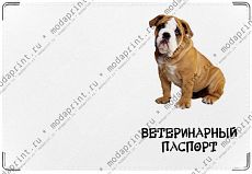собачкин паспорт