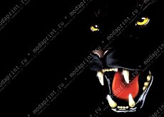 Panther