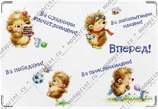 Веселый ежик Вперед!