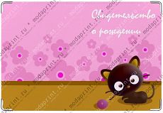 котенок черный