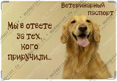 Мы в ответе за тех, кого приручили...
