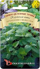 Корейская мята Утренняя Свежесть