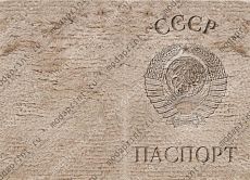 паспорт СССР