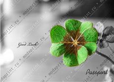 Green on gray
