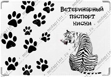 Ветеринарный паспорт киски.