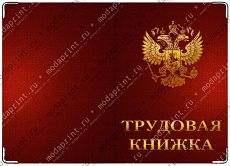 трудовая россия