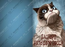 Большой БОСС