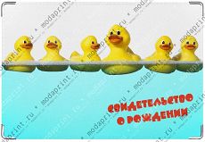 Утята