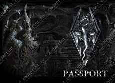 skyrim