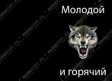 волк