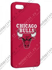 Chikago Bulls