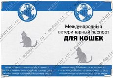 Международный